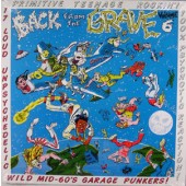 V.A. 'Back From The Grave Vol. 6'  LP
